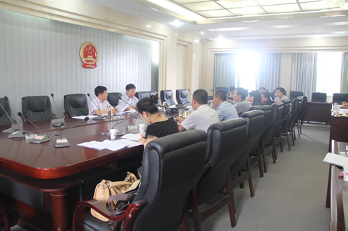 政府領導、企業(yè)代表參加了崇禮新城投資合作協(xié)議討論會(圖1)